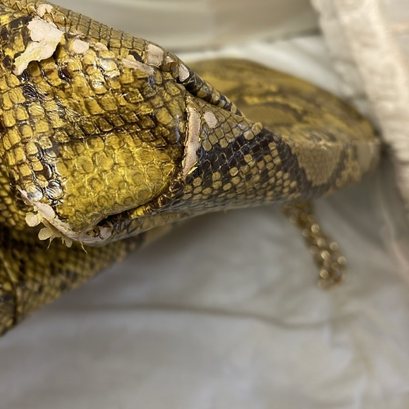 Steve Madden Python-Style Bag | Gold - Picture 12 of 12